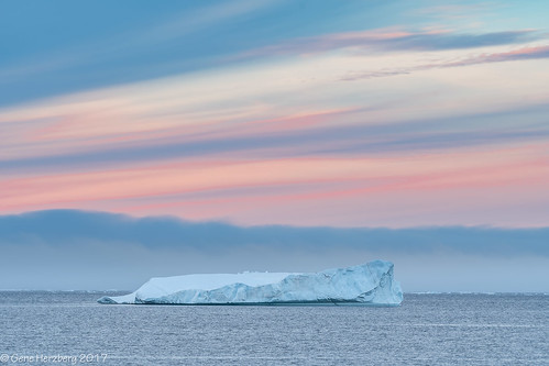 iceberg icebergs newfoundland canada