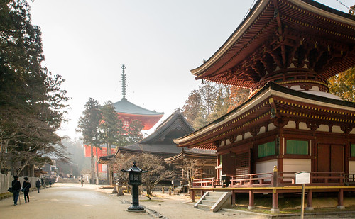 koyasan japan temple shrine pagoda landscape 日本 高野山