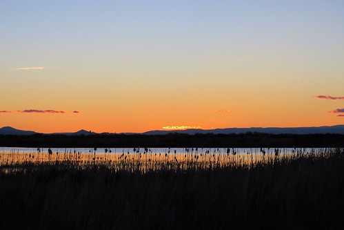colorado marsh sunset wetland mountains mountain alamosa nationalwildliferefuge alamosanationalwildliferefuge