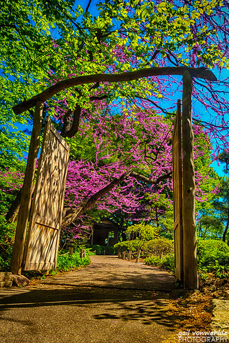 spring minnesota mn minnesotalandscapearboretum arboretum tree flower gate hdr canon vonwahlde landscape japanesegarden