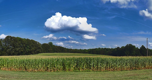 spotsylvaniacounty virginia va farm field cornfield landscape