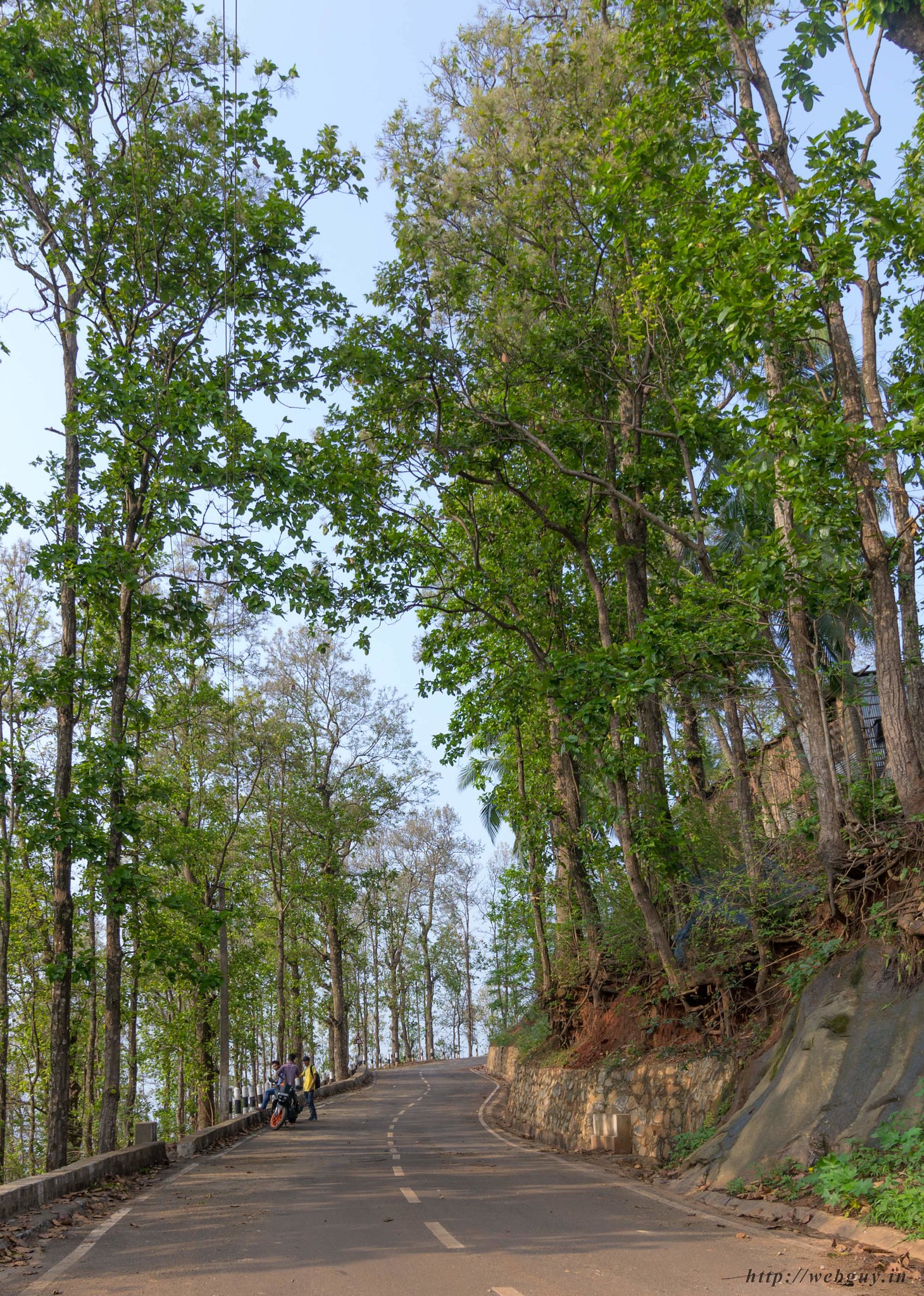 The canopied roads of Garurachal Hill photo, Hajo