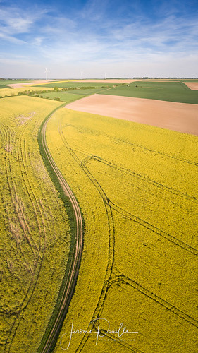 dji aerialphotography aérien champs colza drone fields pasdecalais phantom4 sunset liettres hautsdefrance france fr