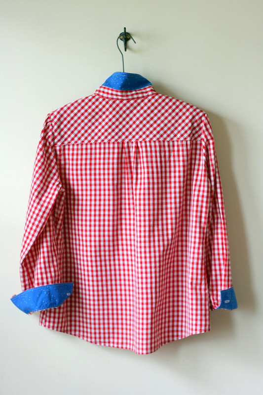 Simplicity 1538 in Gingham