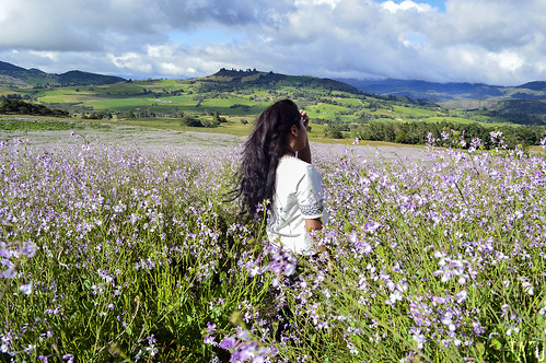 colombia guatavita colores cálido cielos flor flowers naturaleza nikon nubes cundinamarca