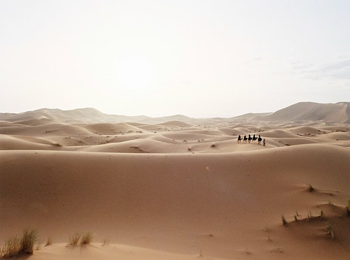 desert travel arabian mediumformat analog filmphotography kodak morocco carmencitafilmlab formatanalogfilm photography contax dunes