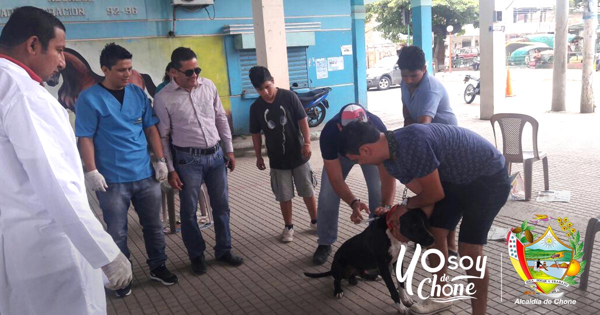 Campaña de vacunación canina en Canuto