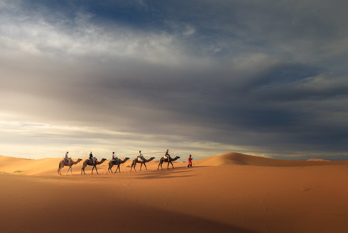 adventure africa bereber caravana d810 desert desierto dromedaries dromedarios landscape nikon redit ricardomartinezcl sahara travel