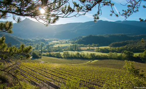 La vallée d'Aurel depuis les vignes de La Faurie