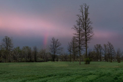 canoneos5dmarkiv rainbow arcoiris grass green trees evening sunset pink clouds pinkclouds wet field campo spring primavera may mayday