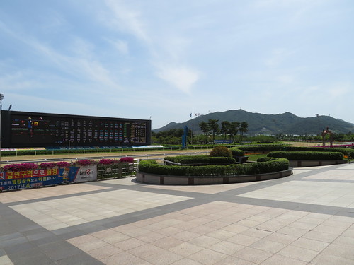 釜山慶南競馬場のスタンド前の空間