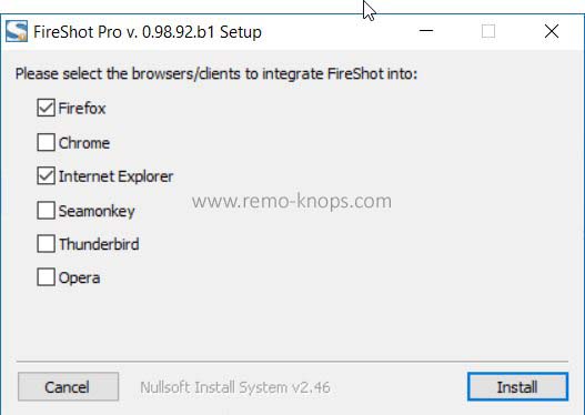 free fireshot for ie