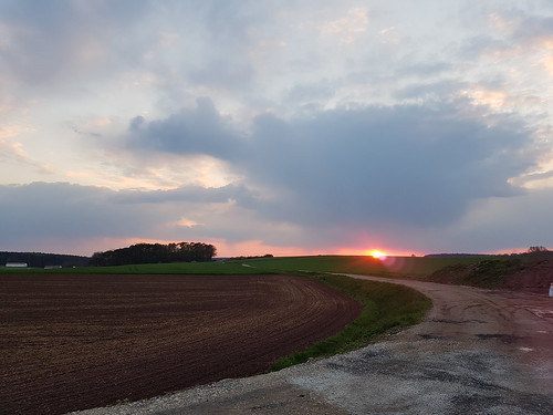 seukendorf agriculture field crop freshness farm socialissues dramaticsky cloudsky ruralscene growth flower nopeople sunset water backgrounds outdoors sonnenuntergang???? beautyinnature day tranquility tree