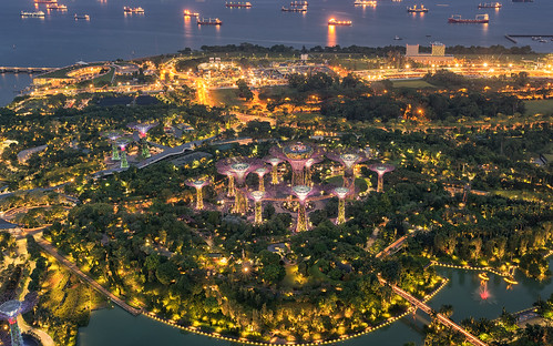 glow gardensbythebay wow architecture seascape marinabaysands singapore outdoor light skyline mushrooms seaside singapur sg
