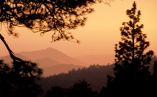 california sequoia uswest usa sequoianationalpark unitedstates