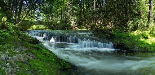 canada millbay millbaybc bc britishcolumbia brook cowichanvalley creek environmental exterior forest landscape landscapephotography river riverbank stream sunny vancouverisland waterfall weather woods sony sonya7m2 a7m2 serenity panorama pano
