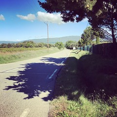 Riding towards the #luberon. #Cycling #velo #wilier #elemnt