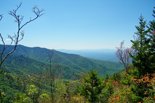 maddron bald great smoky mountains tennessee