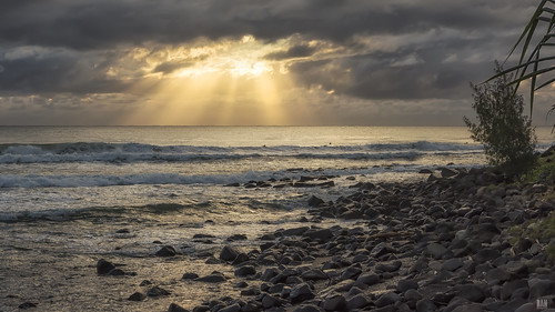 sea ocean crepuscularrays sunlight dawn sunrise daybreak rocks trees burleighheads d810 park waves surfers