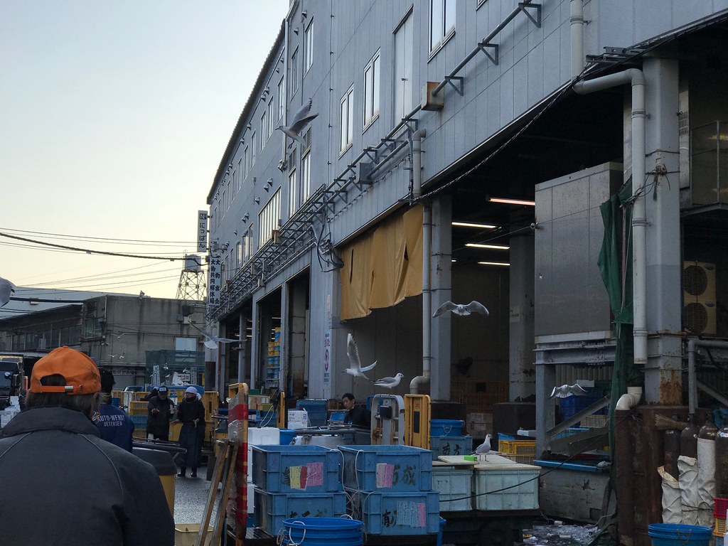 tsukiji 201703