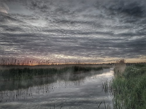 sunrise dawn water fog reed outdoor serene cloud clouds phonephoto jaco verheul samsung reflection hdr