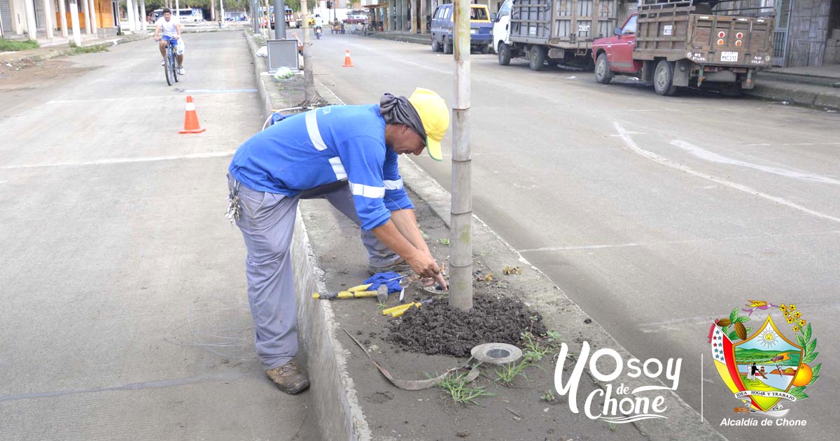 Reiniciaron los trabajos de instalaciÃ³n elÃ©ctrica en el parterre central de la avenida 14 de Agosto de Chone