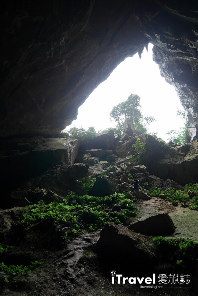 越南广平山水洞 Son Doong Cave (25)