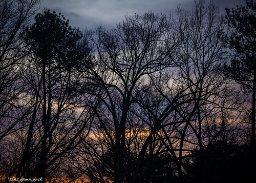 nature trees colorful clouds sundown sunset