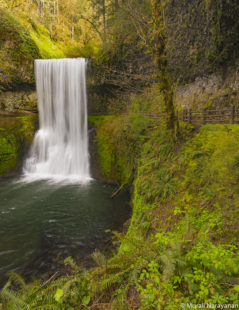 Mt. Hood & Silver Falls State Park, Oregon – Murali Narayanan Photography