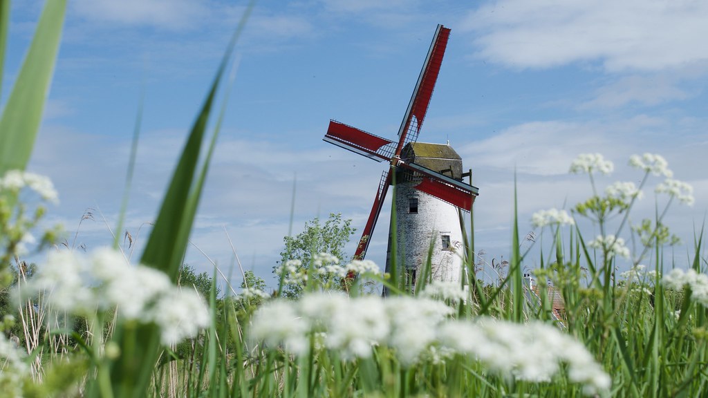 Hunting a windmill