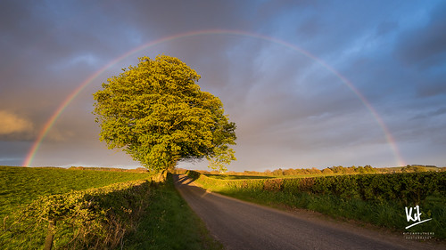 2017 april birsett dumfriesandgalloway scotland sonya7ii2 sonyfe41635zaoss rainbow spring sunset tree