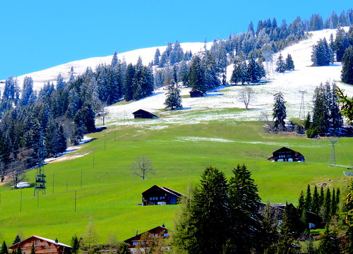 switzerland suisse schweiz schönried ermitage chalet snow schnee neige green grass grün gras vert herbe meadow au pré mountains montagne berge alps alpes alpen