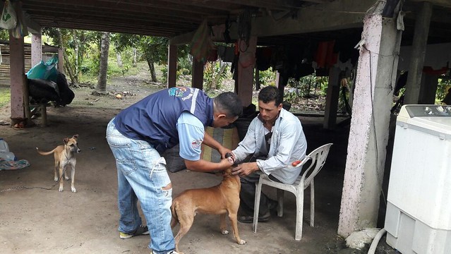 Alcaldía de Chone realizó campaña de desparacitación canina en comunidades de Canuto
