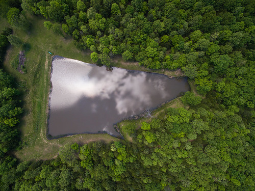 arial colecamp dji drone dronefootage missouri phantom lincoln unitedstates us pond water above dronephoto dronephotography green greentrees trees treeline treesaroundpond treesfromabove clouds phantomphotography kevinvanemburghphotography