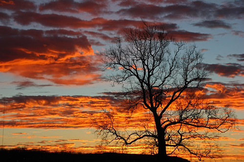 morning tree november sunrise sunlight clouds outdoors