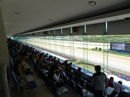 釜山慶南競馬場スタンド３階からの眺め