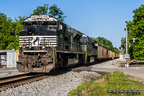 ns nsmemphisdistrict nsmemphisdistrictwestend norfolksouthern emd sd70ace ns1008 732 ns732 loaded coal grandjunction tennessee digital freight transportation merchandise commerce business wow haul outdoor outdoors move mover moving southern scanlon canon eos unit engine locomotive rail railroad railway train track horsepower logistics