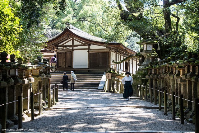 Via che porta al Wakamiya Shrine
