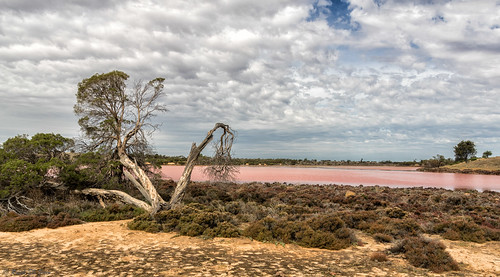australia lakehardy murraysunsetnationalpark pinklakes victoria clouds landscape pink trees