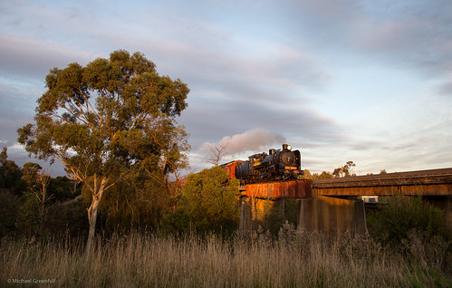 twilight train bunyip steamrail longwarry bridge a2986 tree australia glint trains sunset bunyipriver victoria steam au gippsland