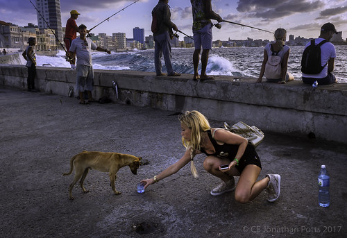 portraiture seascape landscape fishing weather goldenhour sunset social realism kindness stray dog woman tourist blond blonde thirsty puppy drink charity fishermen seawall sea wall cool uncool uncool2 cool2 cool3 cool4 uncool3 cool5 uncool4 uncool5 uncool6 c5u6ps cool6 uncool7 uncool8