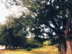 GUAM_iphoneography_097