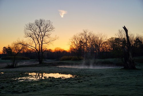 predawn sunrise mist blandy statearboretumofvirginia