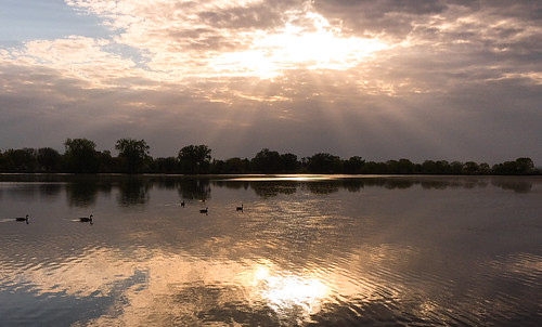 sunshine morning landscape minnesota nature water reflections outdoors park lake sun lakewinona winonaminnesota