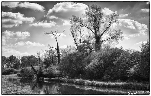 silverefexpro2 trees stockbridge cumulusclouds landscape monochrome river bank border hampshire nikfilters sunny bw test uk dead england unitedkingdom gb