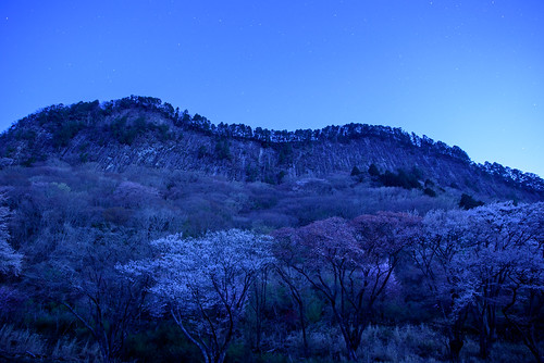 宇陀郡 奈良県 japan 屏風岩 桜 cherry 日の出 sunrise