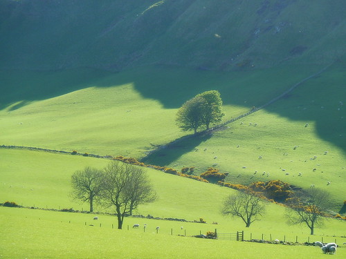 ericrobbniven scotland sidlaw hills cycling sheep farmland