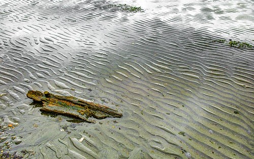 picnicpoint edmonds washington unitedstates us naturalpattern landscape abstract beach sandripples driftwood trinterphotos richtrinter
