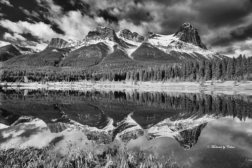 blackandwhite mountains mothernature mono trees sky scenery scenic landscape lake quarrylake bw clouds reflections canada canmore calm landscapes lakes alberta