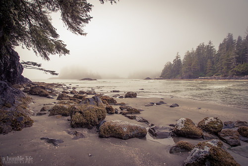 beach fog landscape mist ocean reflection sand schoonercove silhouette tofino trees water britishcolumbia canada ca